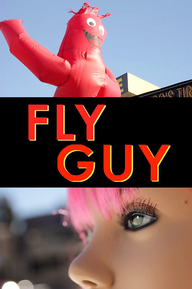 Fly Guy poster